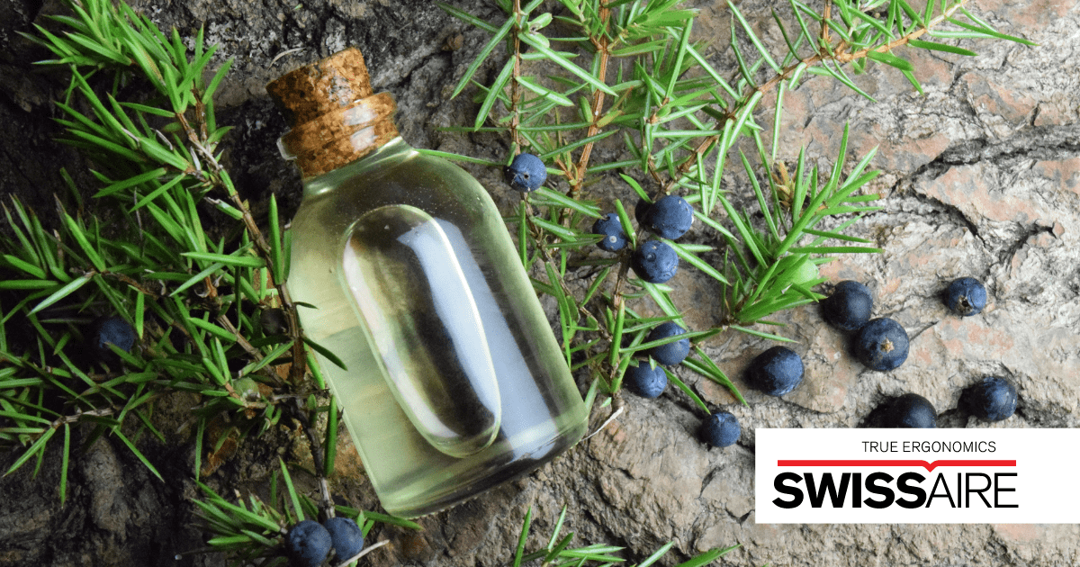 photo of an essential oil bottle with rosemary in the back, on a wooden platter