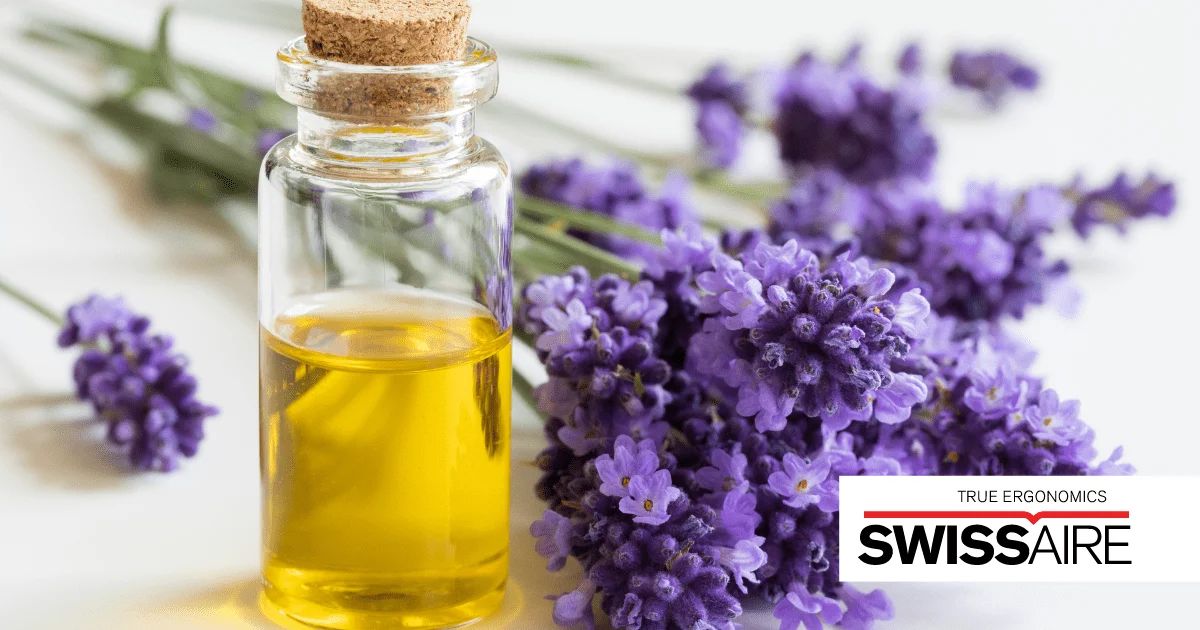Top 10 essential oils your home office needs 2 top 10 essential oils your home office needs img1