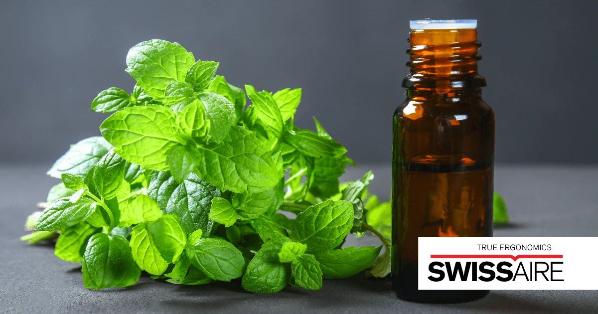 Top 10 essential oils your home office needs 3 top 10 essential oils your home office needs img2