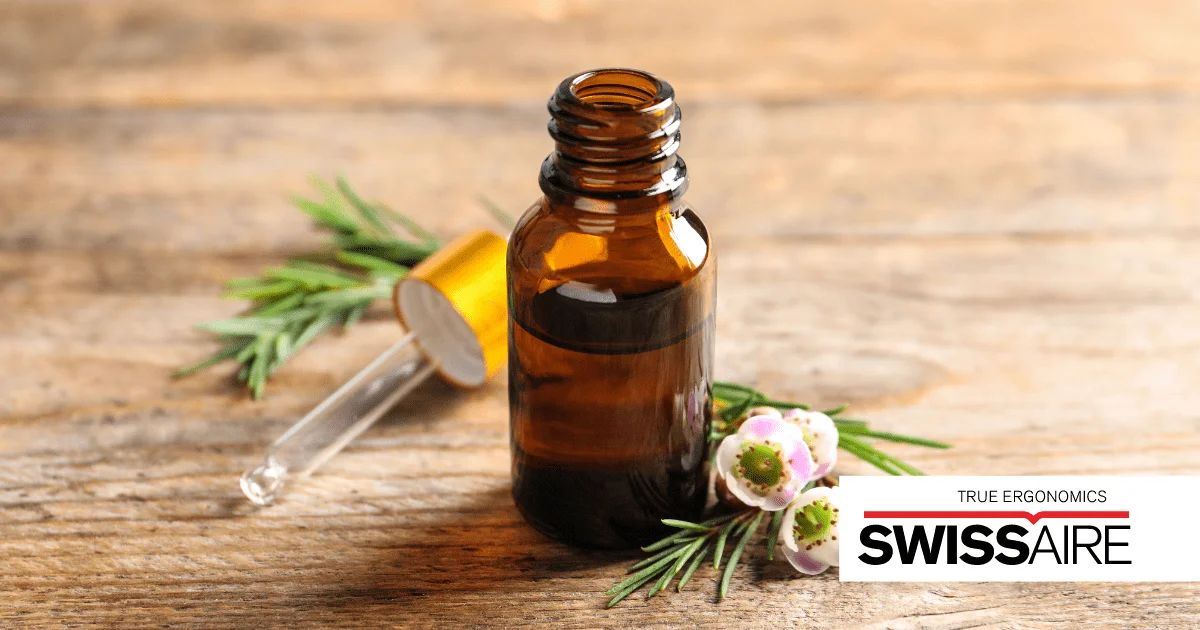 Top 10 essential oils your home office needs 4 top 10 essential oils your home office needs img3
