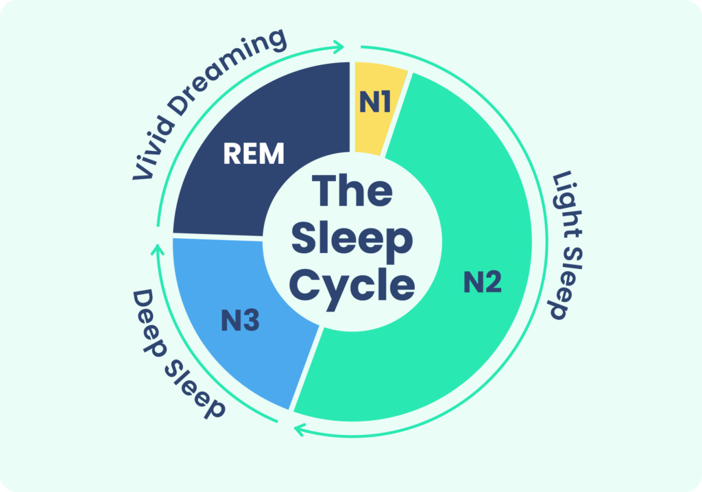 Understanding stages of sleep 2 understanding stages of sleep img2
